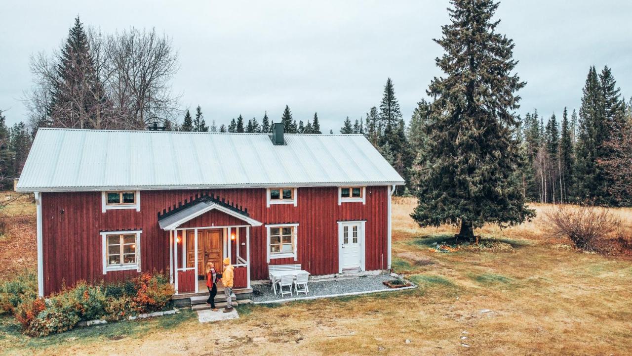 Taiga Forest Lodge Gällivare Extérieur photo